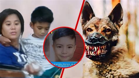 Bata, kinagat ng 20 aso .